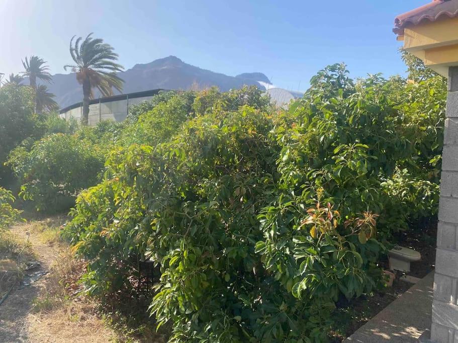 Vila Casita Lily Las Palmas de Gran Canaria Exteriér fotografie