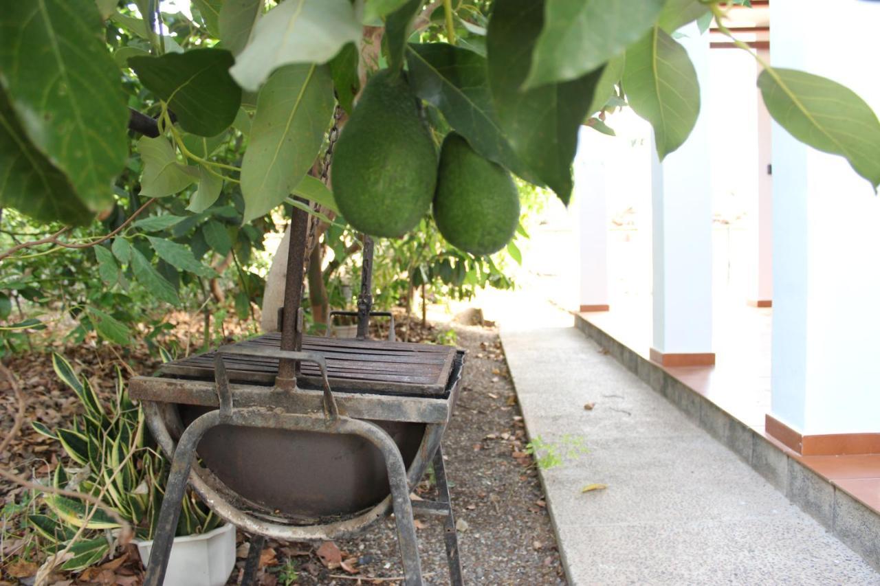 Vila Casita Lily Las Palmas de Gran Canaria Exteriér fotografie